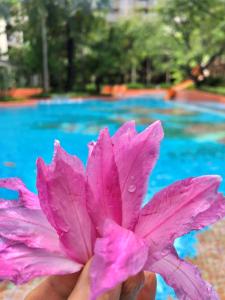 La Habana Hua Hin Condo Pool View 1 Bed Room