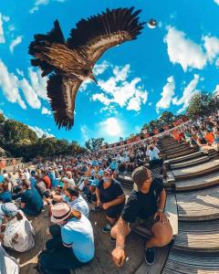 Maisons de vacances La Haute Chabossiere 2 gites a la campagne proche du Puy du Fou jusqu'a 17 couchages : photos des chambres