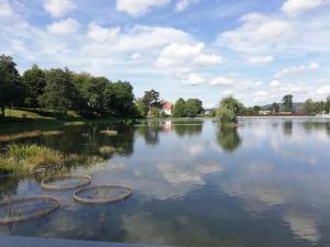 Apartament Nectar Pond