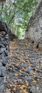 Appartements Charming holiday apartment in the Pyrenees : photos des chambres