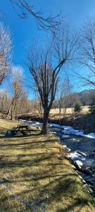 Charming holiday apartment in the Pyrenees