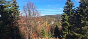 A2Kopaonik newly built apartments