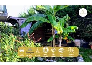 Agréable maison en centre ville - 马恩河畔讷伊