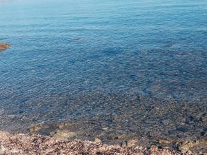 CASABELLAVISTA img28