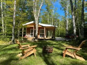 Bear Cabin - Forest Retreat nearby Lake - not on waterfront - Brier and Long Islands