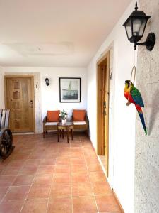 Noe Hotel Punta Cana