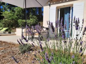 Appartements Studios independants dans grand Domaine en pleine nature : photos des chambres