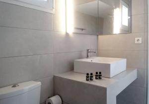 Palm Suite Blue