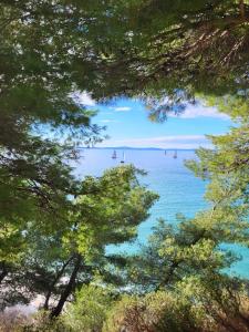 Lavica Bellevue apartments & studios