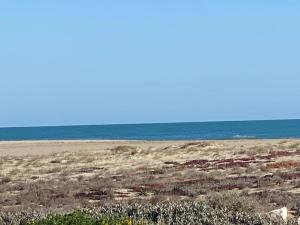 Villa T2+Mezzanine, 6 pers, plage, parking, Port Leucate - FR-1-81-582