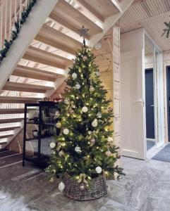 Levin Villa Aurora A