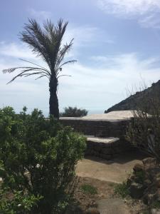 Dammusi IL SERRALH -Pantelleria-