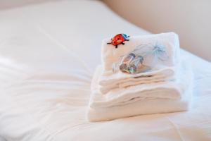 Backcountry Hotel*Super Premium