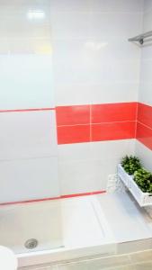 El Rincón del Mercado