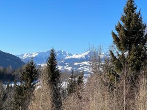 Bergchalet Stolzalpe