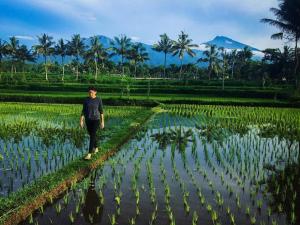 Mysha Guest House-Lombok