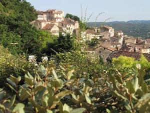 Maisons de vacances La Rose des Claux : photos des chambres