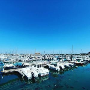 Maisons de vacances Tres belle Maison Vendeenne pour 6 personnes classee 3 etoiles, animaux admis et equipements bebe fournis, avec piscine, situee a seulement 10mn des plages : photos des chambres