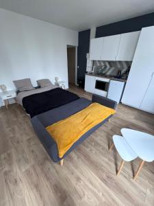 Appartements Le Lumineux : photos des chambres