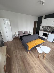 Appartements Le Lumineux : photos des chambres