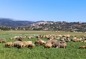 Maisons de vacances Belle maison provencale tout confort classee 4 * : photos des chambres