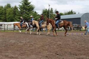 Fern Lodge. Drumcoura Lake Resort,