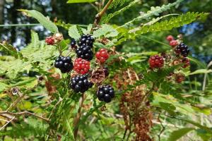 Stunning Refurbished 1 Bedroom, Harbour Apartment.