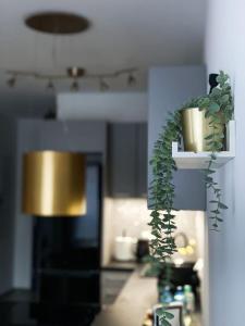 Apartament przy Karmelu