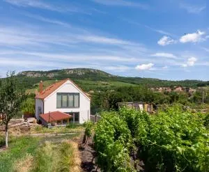 Penzion Honzy - Březí