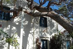 Villa Kynthia Rethymno Greece