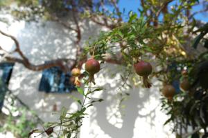 Villa Kynthia Rethymno Greece