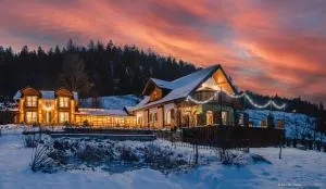 Rita Art Chalet Voronet - Capu Cîmpului