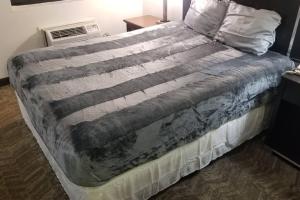 Hotel 2 Queen Beds Room 124 Booking