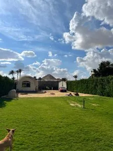 Sahure Pyramid View Inn - Abū Şīr