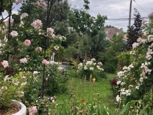 Maisons de vacances MAISON CHATEAU D'OLERON : photos des chambres