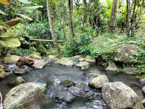 Magical Breeze Cabin