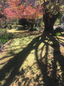 English Gardens - Forest Spa Suite