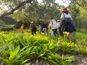 Nui Tuong Village Stay