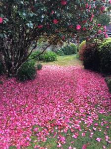 English Gardens - Garden Retreat