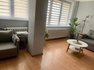 Apartament Joanna 2 parter