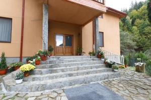 Pensiunea Cașoca-Cascadă