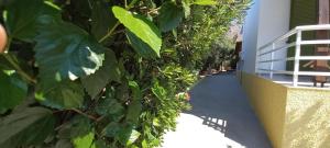 Leros Eleonas ApartmentS