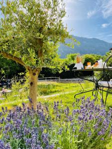 GITE chez "Chambre DHôtes Sandra"