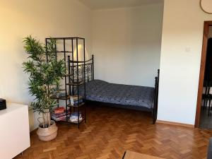 Apartament Planty 28