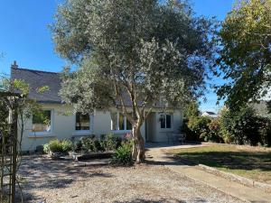 Maisons de vacances Gite de Treguilly : photos des chambres