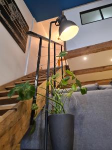 Appartements 