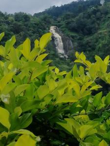 Super View Home Stay