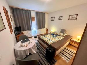 Double Room room in Penzión Evka