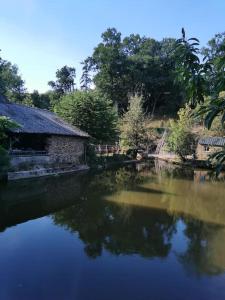 Maisons de vacances L'atelier de la Conquette : photos des chambres