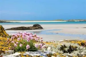 Wild Atlantic Stay Guest House Self-Catering - 斯皮德尔